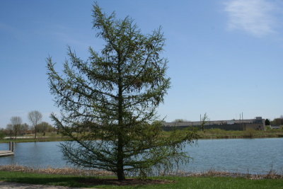 Appleton Memorial Park