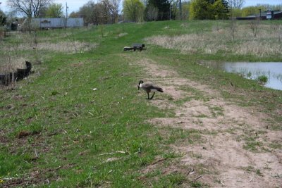 Appleton Memorial Park