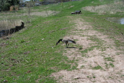 Appleton Memorial Park