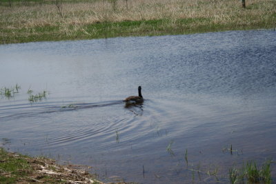 Appleton Memorial Park