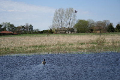 Appleton Memorial Park