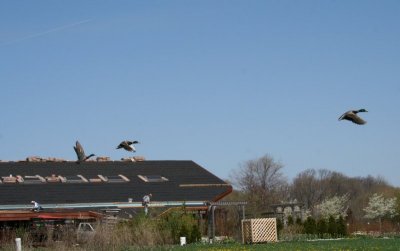Appleton Memorial Park