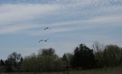 Appleton Memorial Park
