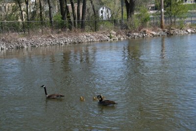 Olde Oneida Park & Skyline