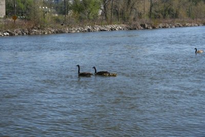 Olde Oneida Park & Skyline