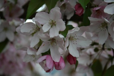 Smells so good...