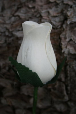 The Wooden Rose