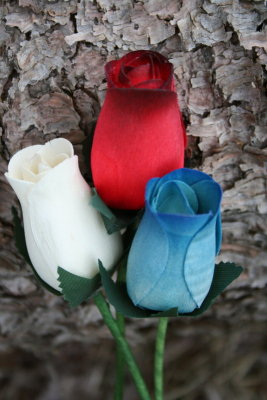 The Wooden Rose