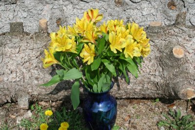 My Flower Bouquet