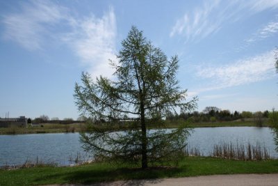 Memorial Gardens