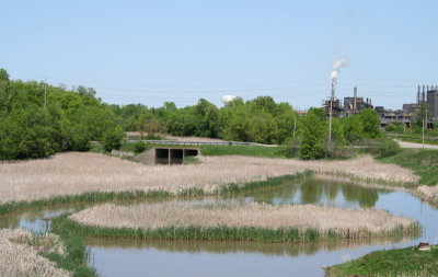 Wetland