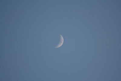 Moon @ 7:15'ish