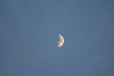 Moon @ 7:15'ish