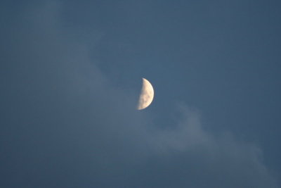 Moon @ 8:30'ish