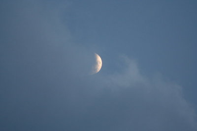 Moon @ 8:30'ish