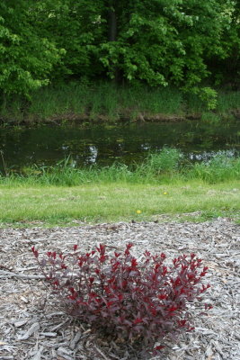 Riverside Park ~ Est. 1959