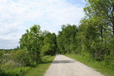 Walking Down the Trail...