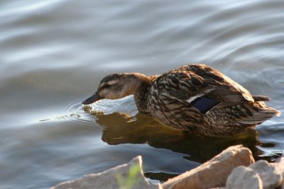 Quench the Thirst!