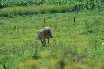 Taking a Little Jog in the Wind!
