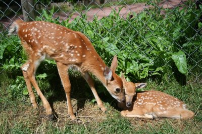 A little Snuggle!