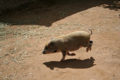 Gettin' Outta Here!