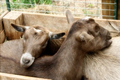 Sweet Snuggles!