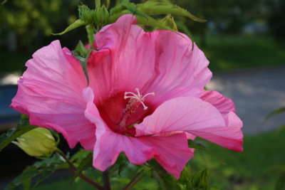 Opened Up...