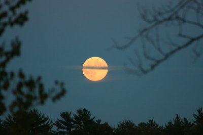 The La Crosse Moon...