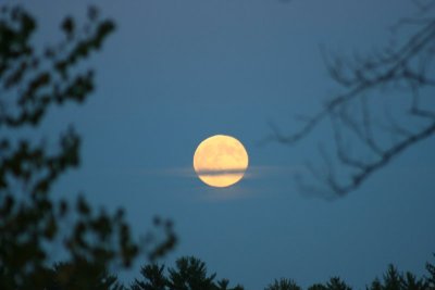 The La Crosse Moon...