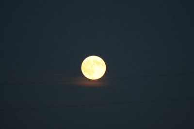 The La Crosse Moon...