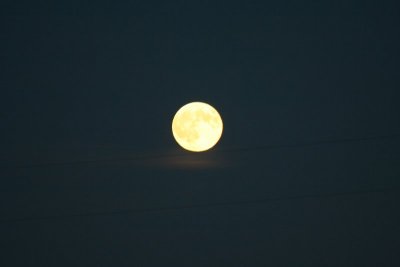 The La Crosse Moon...