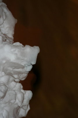 Snowpacked Tree...