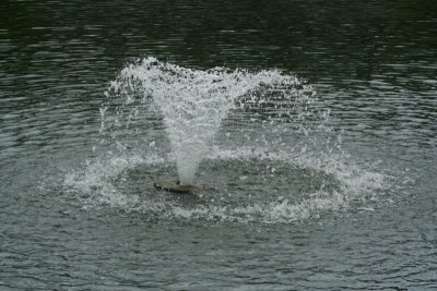 IMG_6991.JPG