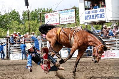 1313PL.jpg-Buckin' Bronc Part 4