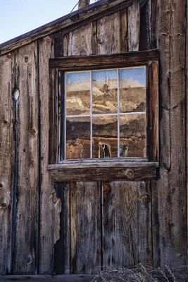 Reflected View