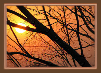 rain drop with sunset.jpg