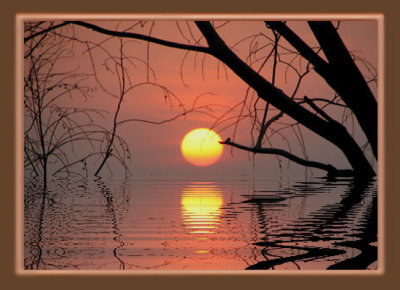 shadow of sunset.jpg