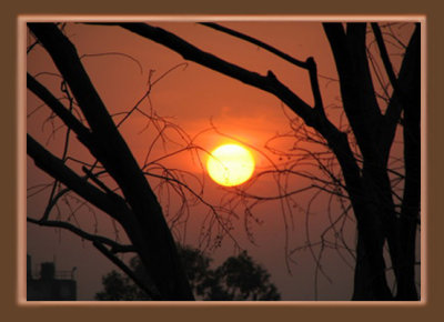 Sunset Original.jpg