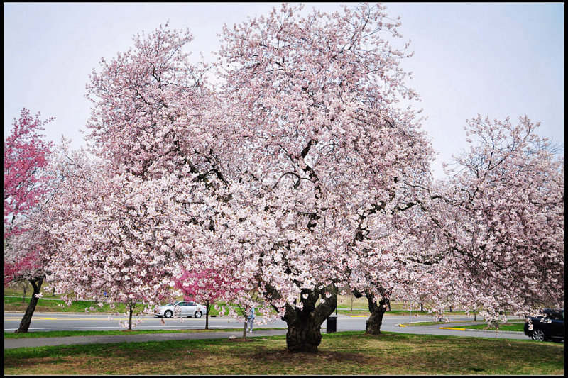 DSC_1044_1.jpg