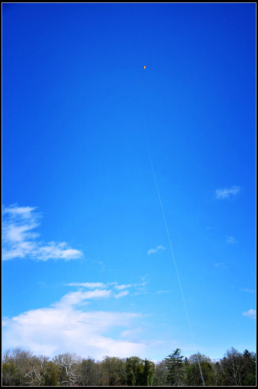 DSC_1431_1.jpg