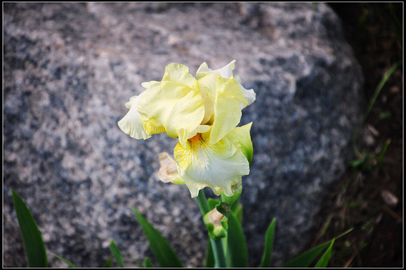 DSC_1572_1.jpg