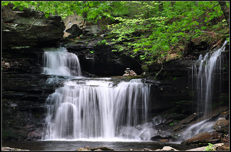 DSC_2125_1.jpg