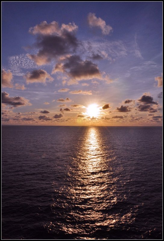 DSC_3619_1.jpg
