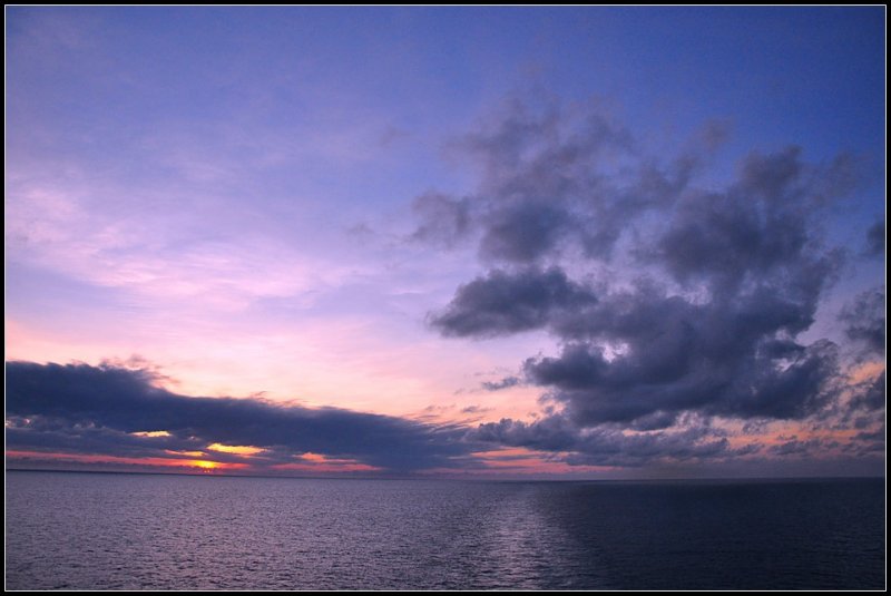 DSC_3799_1.jpg