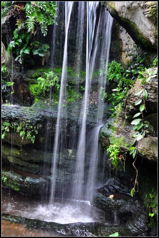 DSC_4061_1.jpg