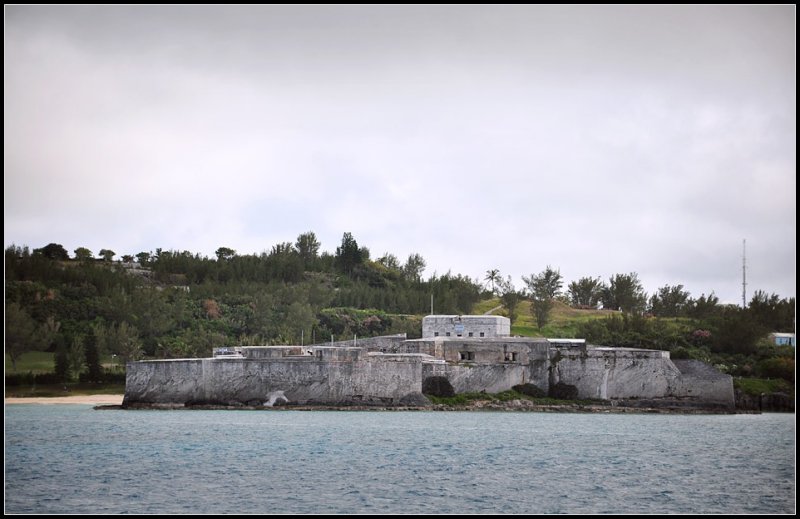 DSC_4557_1.jpg
