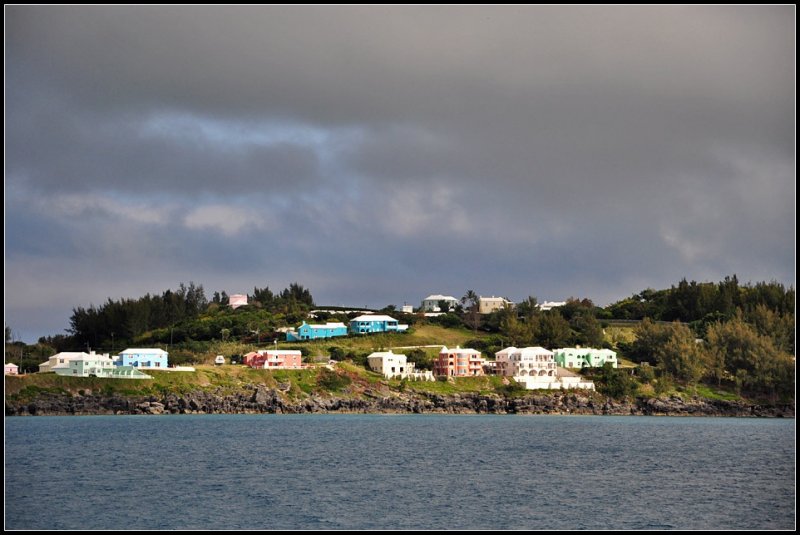 DSC_4563_1.jpg