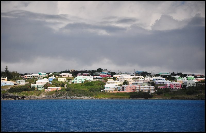 DSC_4580_1.jpg