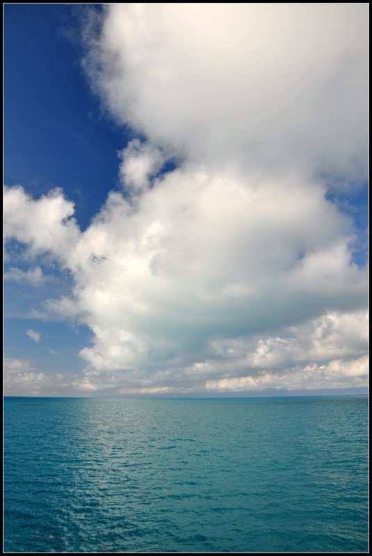 DSC_4597_1.jpg