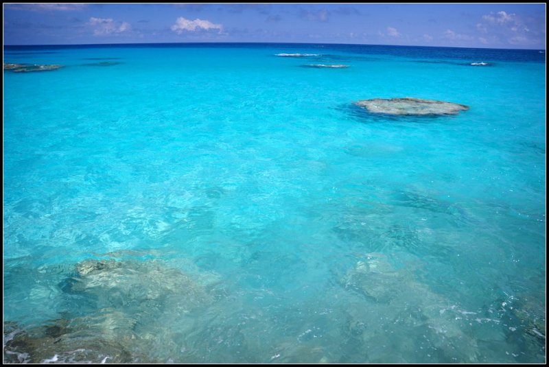 DSC_5159_1.jpg